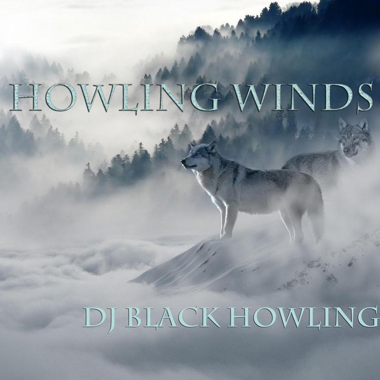 DJ Black Howling's avatar image