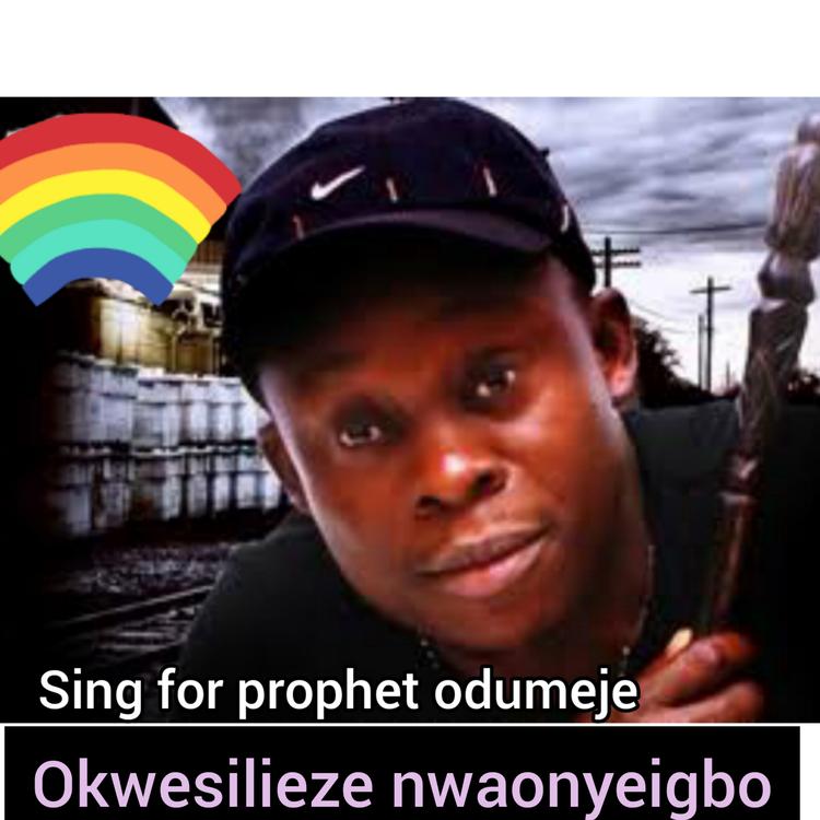 Okwesilieze Nwaonyeigbo's avatar image