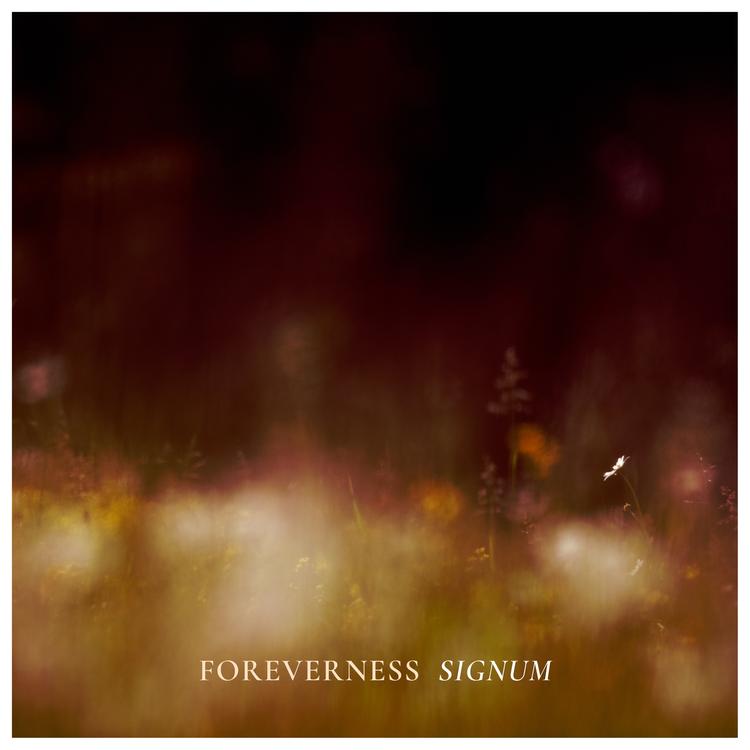 Foreverness's avatar image