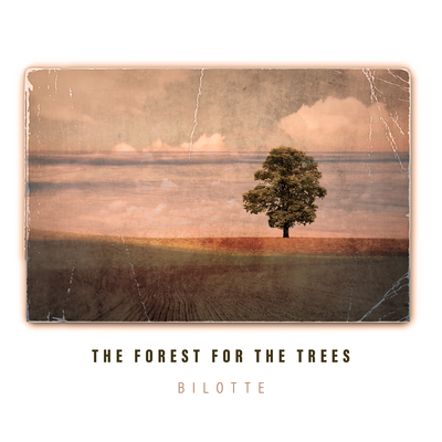 The Forest for the Trees By Bilotte's cover