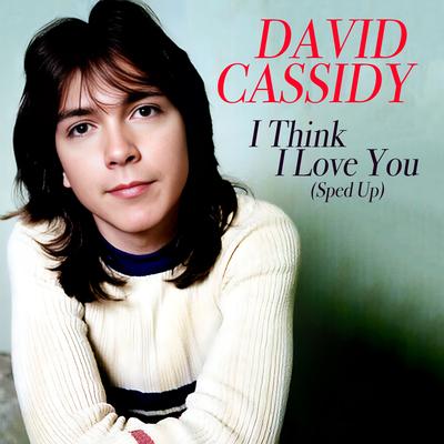 David Cassidy's cover