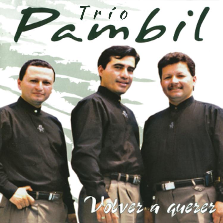 Trío Pambil's avatar image