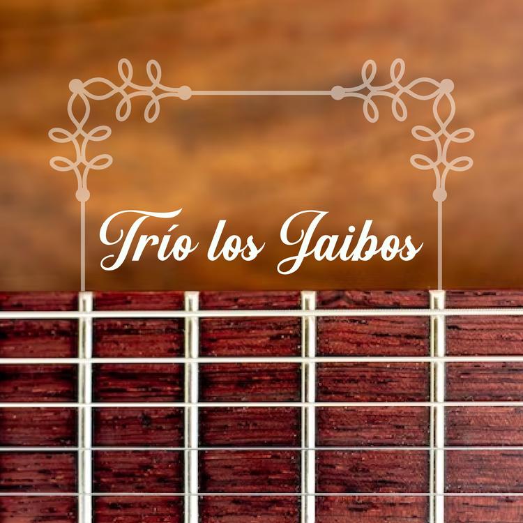 Trio Los Jaibos's avatar image