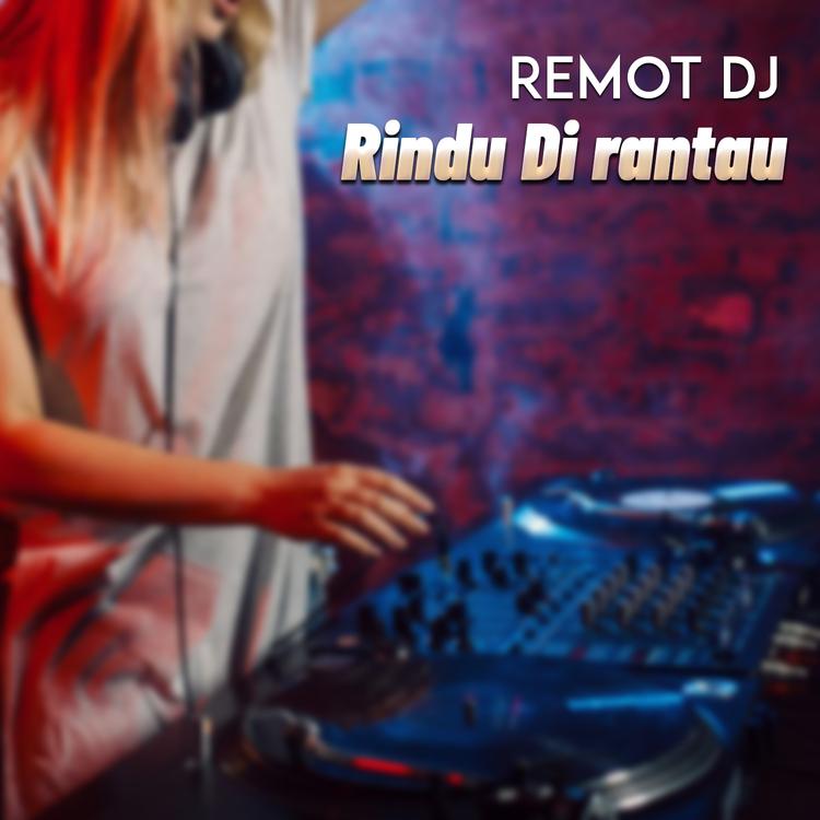 REMOT DJ's avatar image