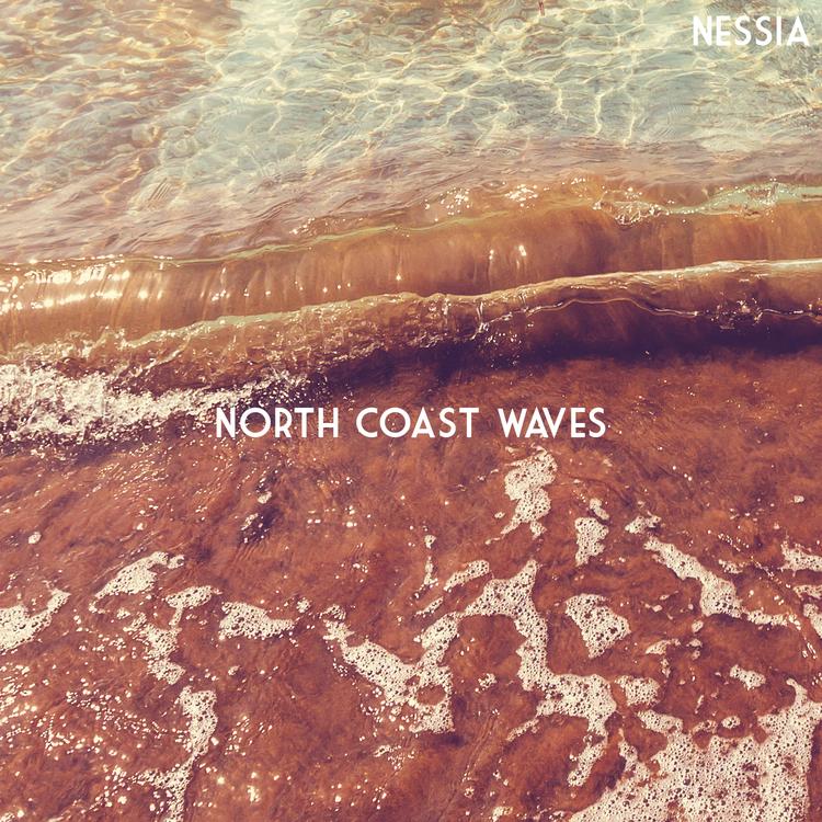 North Coast Waves's avatar image