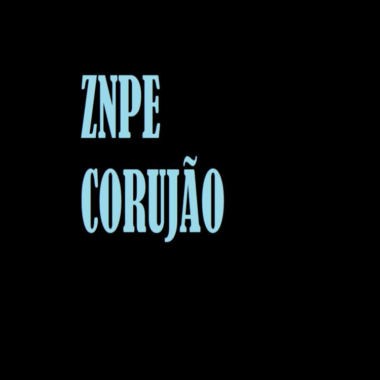 Znpe's avatar image