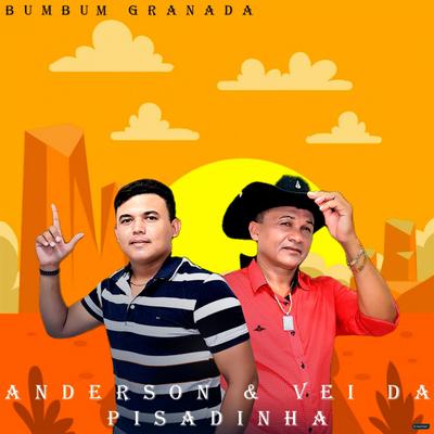 Enfinca (Ao Vivo) By Anderson & Vei da Pisadinha's cover