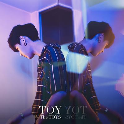TOY's cover
