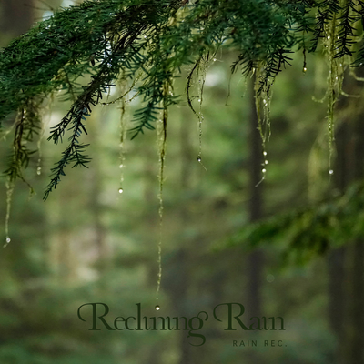 Sleepy Raindrops By Rain Rec.'s cover