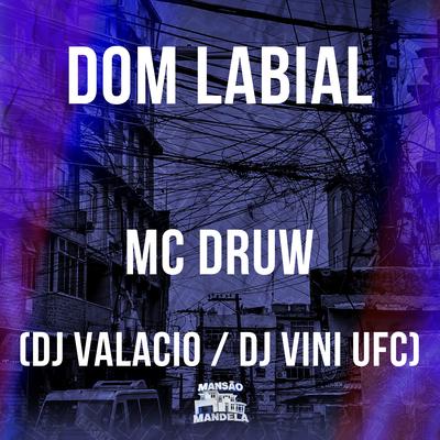 Dom Labial By MC DRUW, DJ Valacio, Dj Vini Ufc's cover