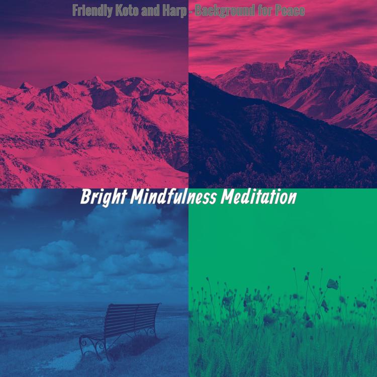 Bright Mindfulness Meditation's avatar image