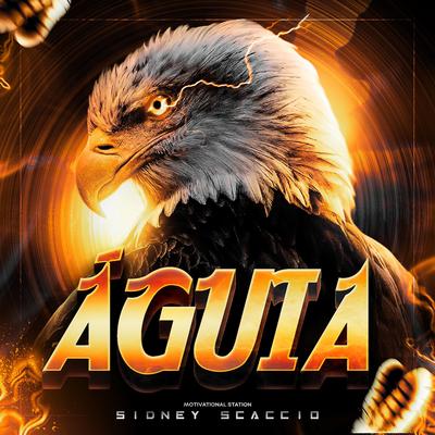 Águia By Motivational Station, Sidney Scaccio's cover