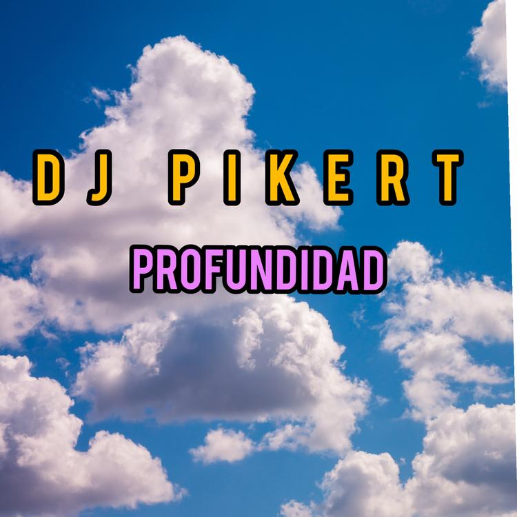 Dj Pikert's avatar image