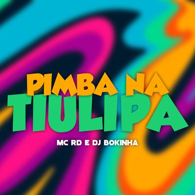 Pimba na Tiulipa's cover