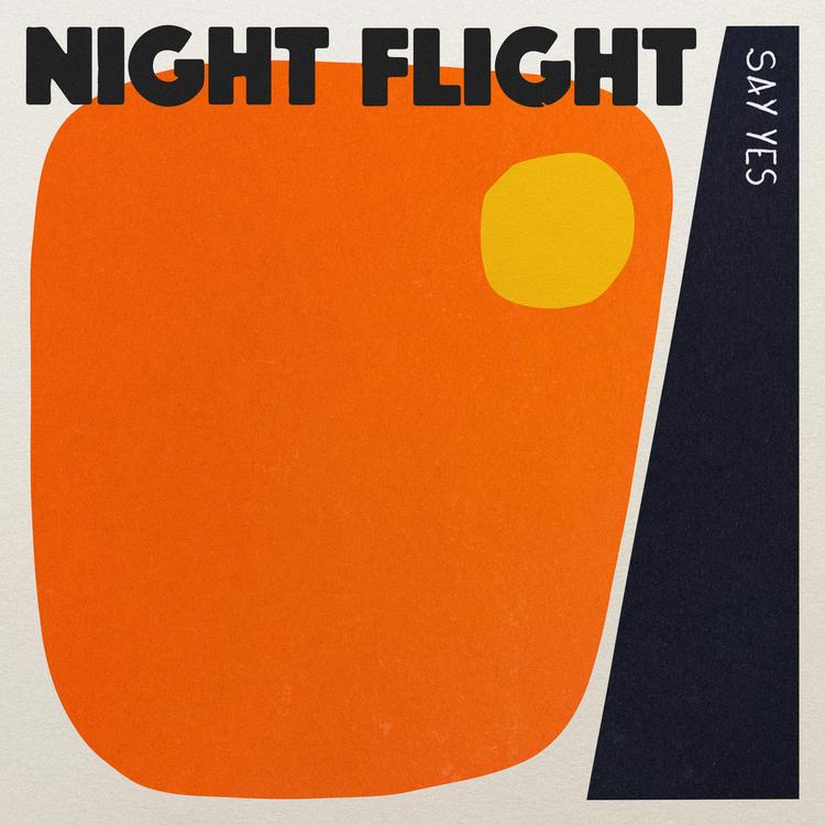 Night Flight's avatar image