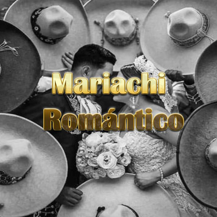 Mariachi Guadalajara's avatar image