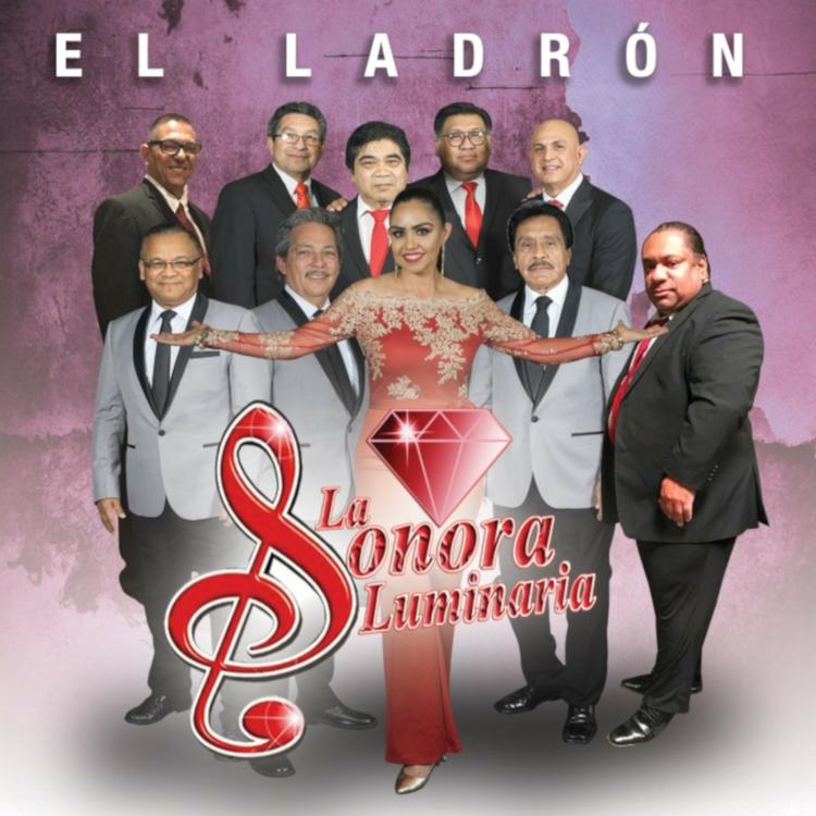 La Sonora Luminaria's avatar image