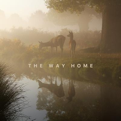 The Way Home By Emma Jackson's cover