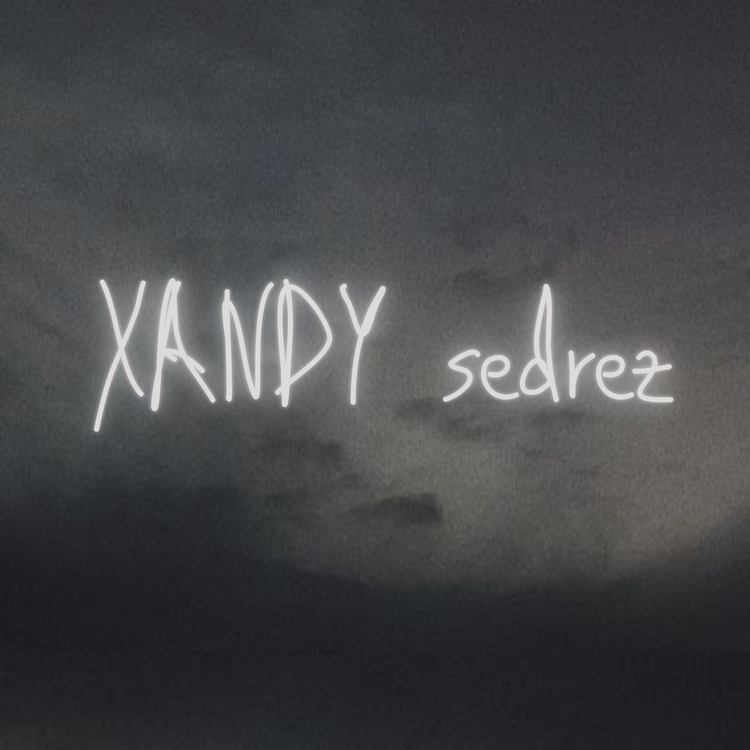 Xandy Sedrez's avatar image