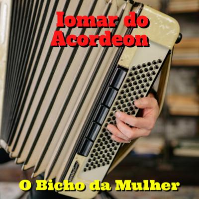 Vindo de Teresina By Iomar do Acordeon's cover