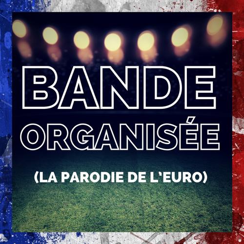 Bande Organisée (La parodie de l'Euro) Official Tiktok Music
