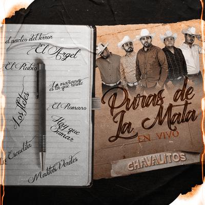 Puras De La Mata (En Vivo)'s cover