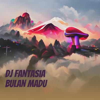 Dj Fantasia Bulan Madu's cover