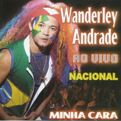 Não Me Deixe Só (Ao Vivo) By Wanderley Andrade's cover