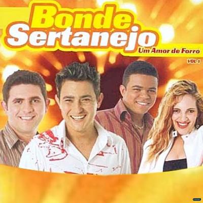 Um Amor de Forró, Vol. 1's cover