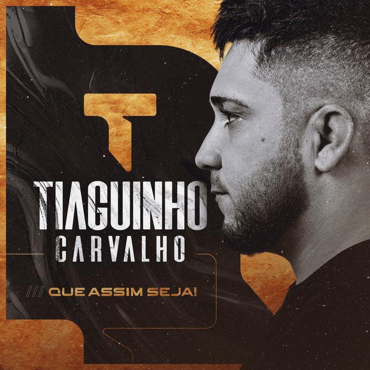 Tiaguinho Carvalho's avatar image