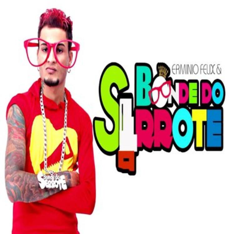 Erminio Félix & Bonde Do Serrote's avatar image