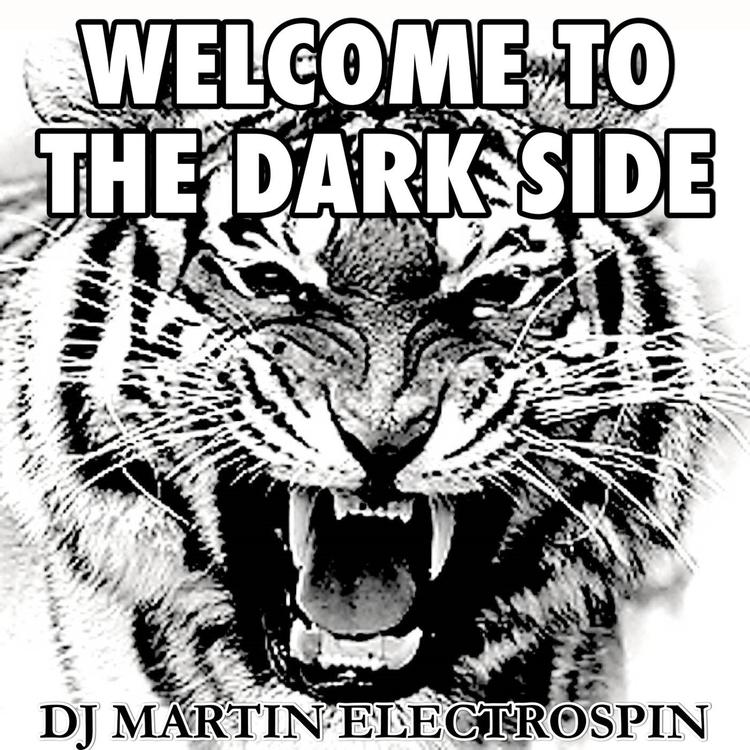 DJ Martin ElectroSpin's avatar image