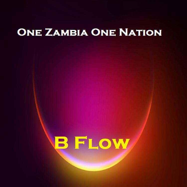 One Zambia One Nation's avatar image