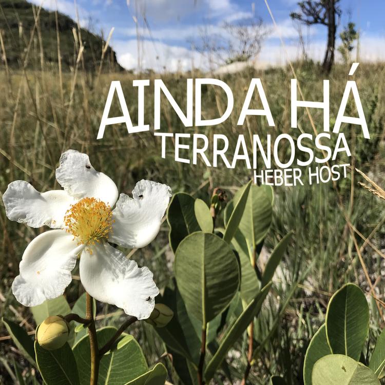 TerraNOSSA Heber Host's avatar image