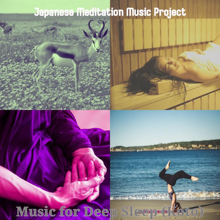 Japanese Meditation Music Project's avatar image