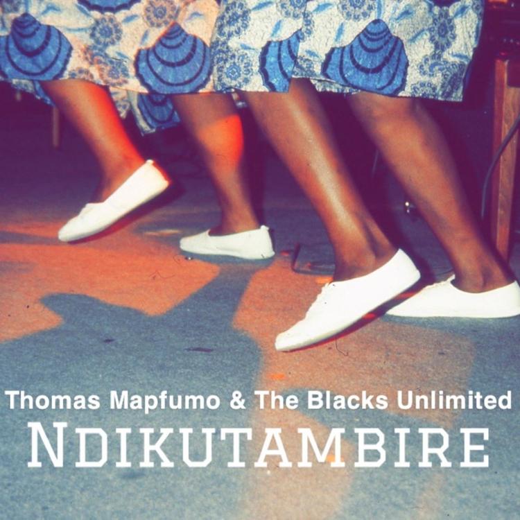 Thomas Mapfumo & The Blacks Unlimited's avatar image