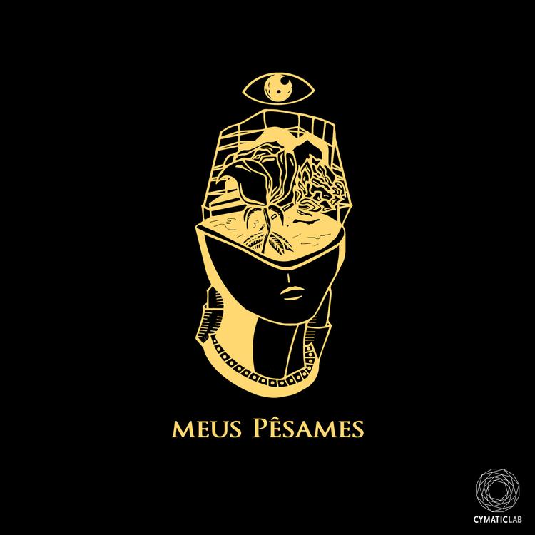 Meus Pêsames's avatar image