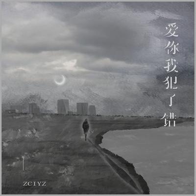 爱你我犯了错's cover