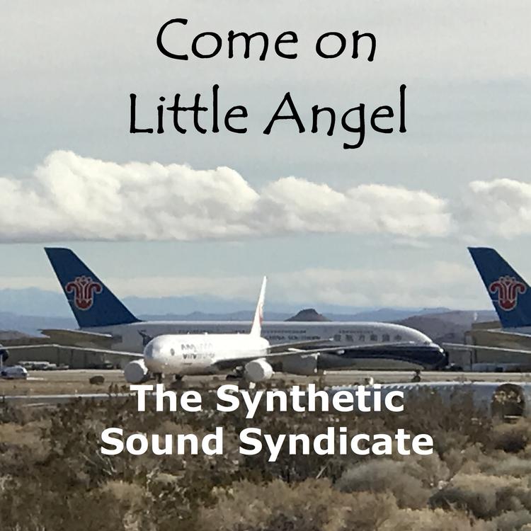 The Synthetic Sound Syndicate's avatar image