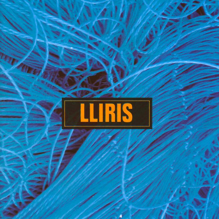 Lliris's avatar image