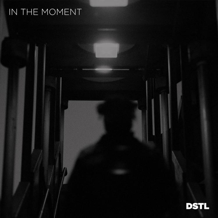 DSTL's avatar image