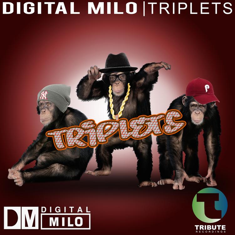 Digital Milo's avatar image