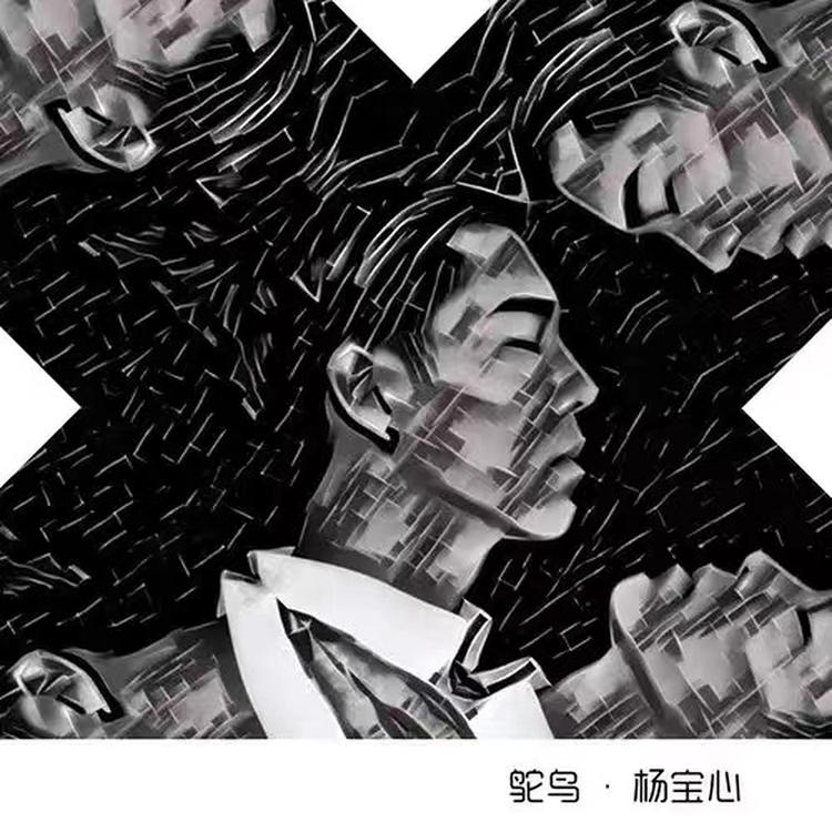 杨宝心's avatar image