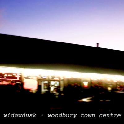 woodbury town centre (bedroom demo)'s cover