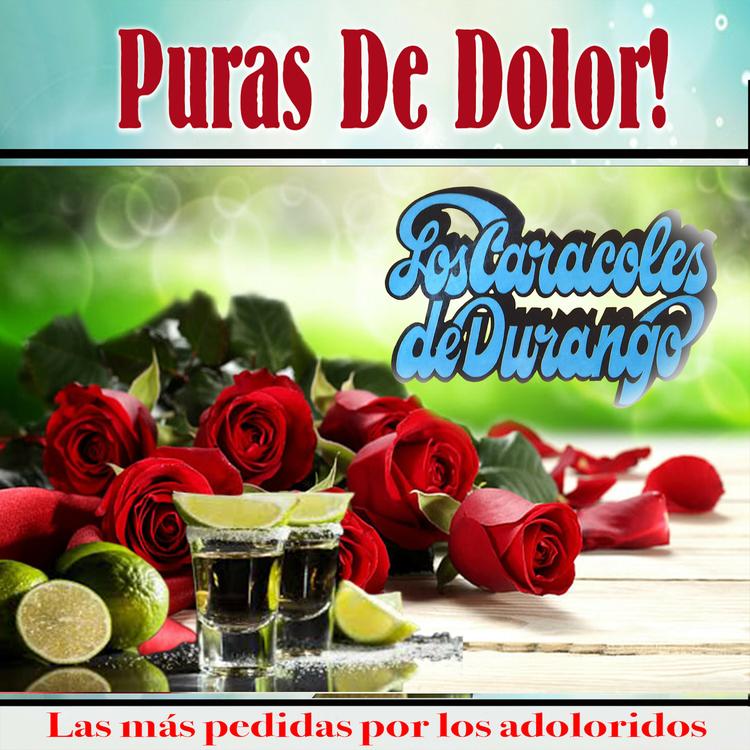 Los Caracoles De Durango's avatar image