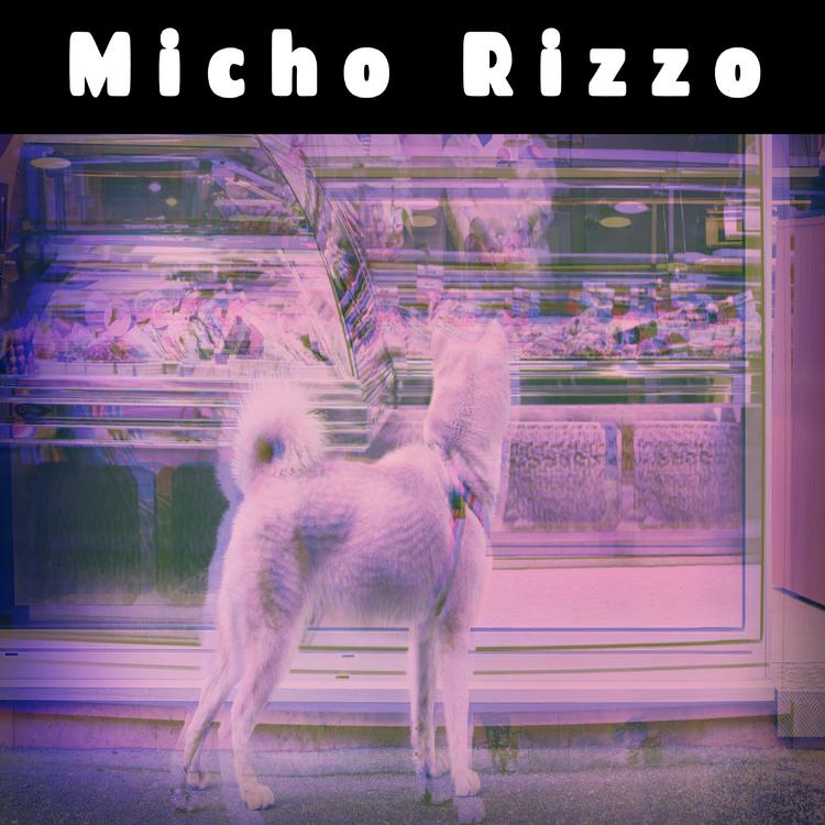 Micho Rizzo's avatar image