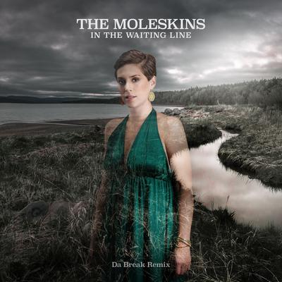In the Waiting Line (Da Break Remix) By The Moleskins, Da Break's cover