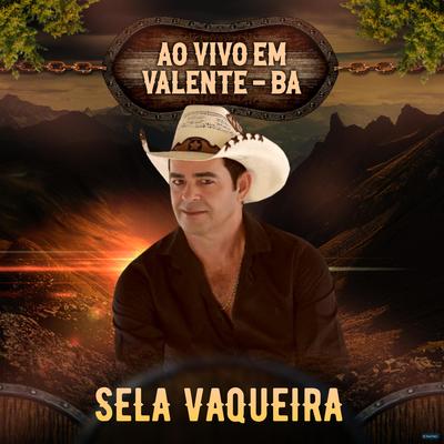 Cavalo Abandonado (Ao Vivo) By Sela Vaqueira's cover