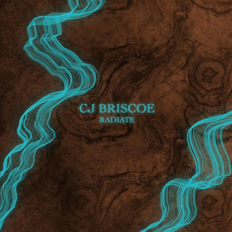 Cj Briscoe's avatar image