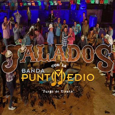 Pica Perica By Banda Punto Medio's cover